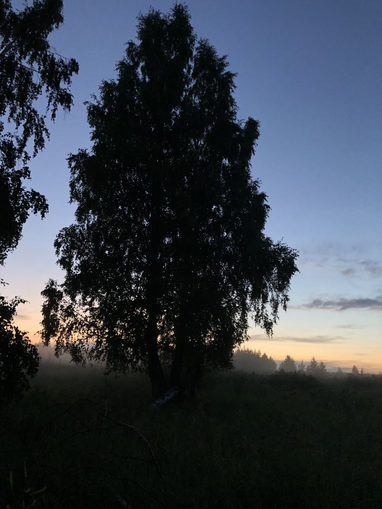 Photograph by Елена Федорова