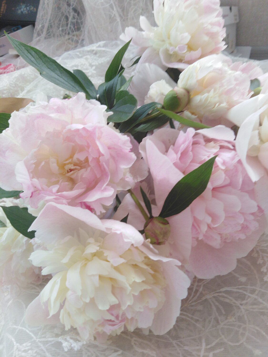 Photo #13548085