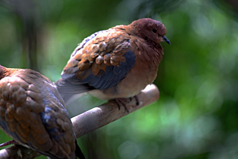 Photograph by Сергей Рапопорт