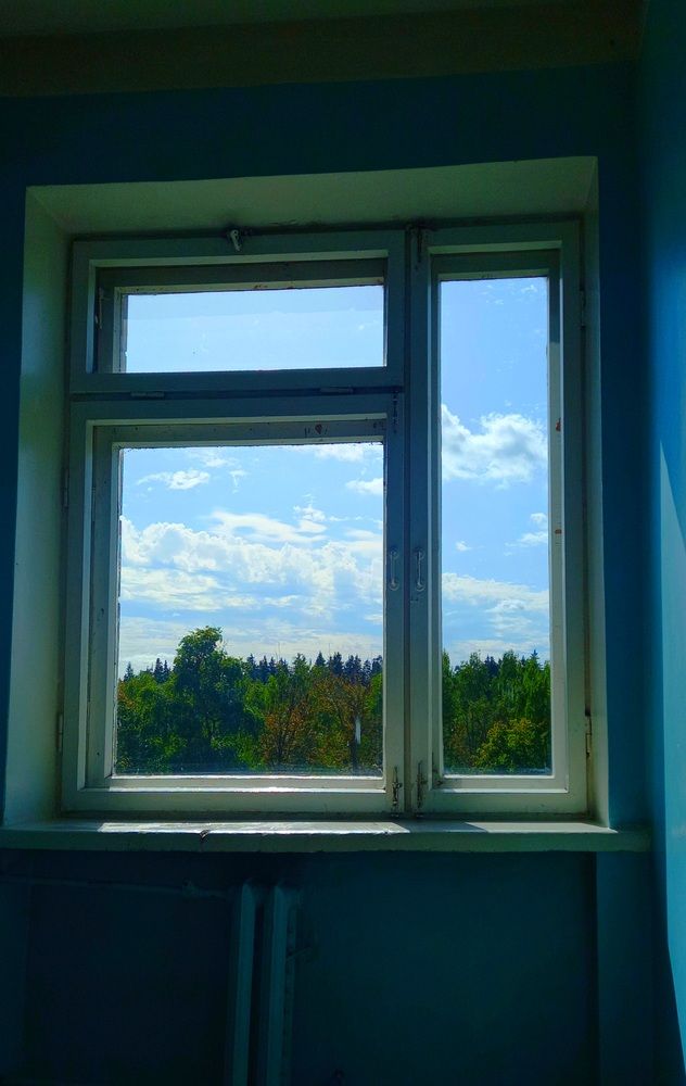 Фотография автора Елена Воронова