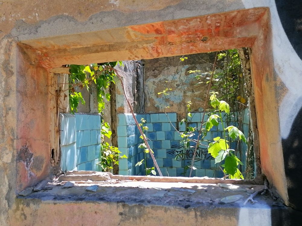 Photograph by Владислав Карасев