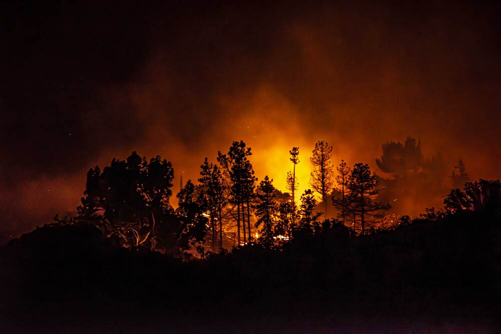 Firestorm: The Fragility of Life