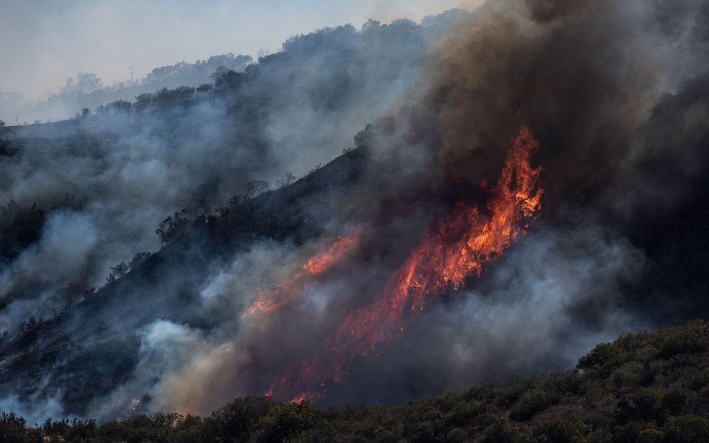 Firestorm: The Fragility of Life