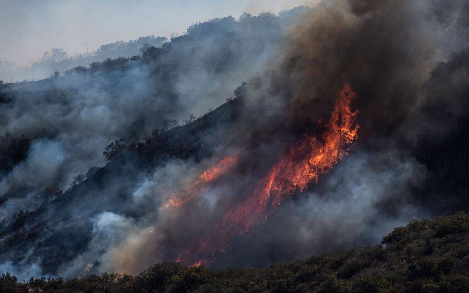 Firestorm: The Fragility of Life