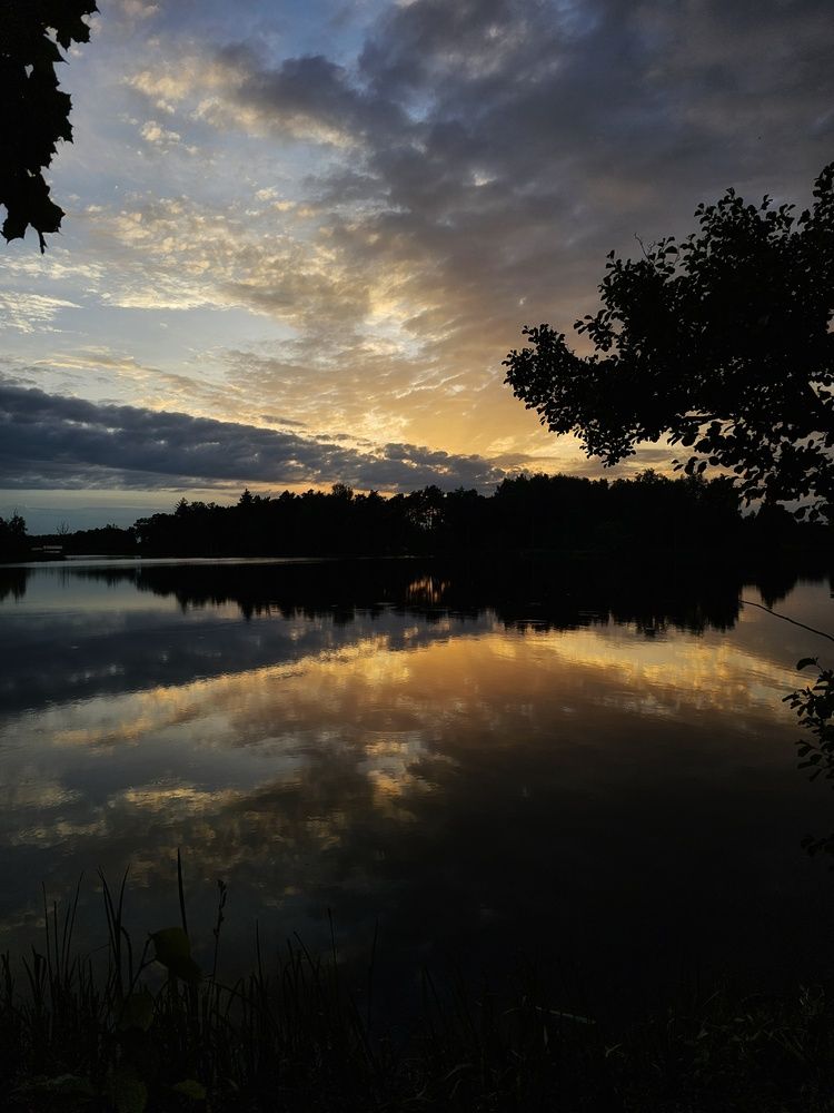 Photograph by Мария Рудаковская