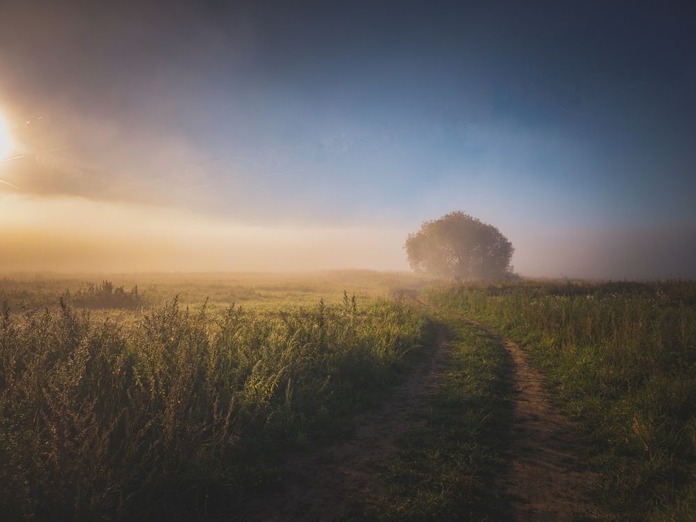 Photograph by Кирилл Сидоров