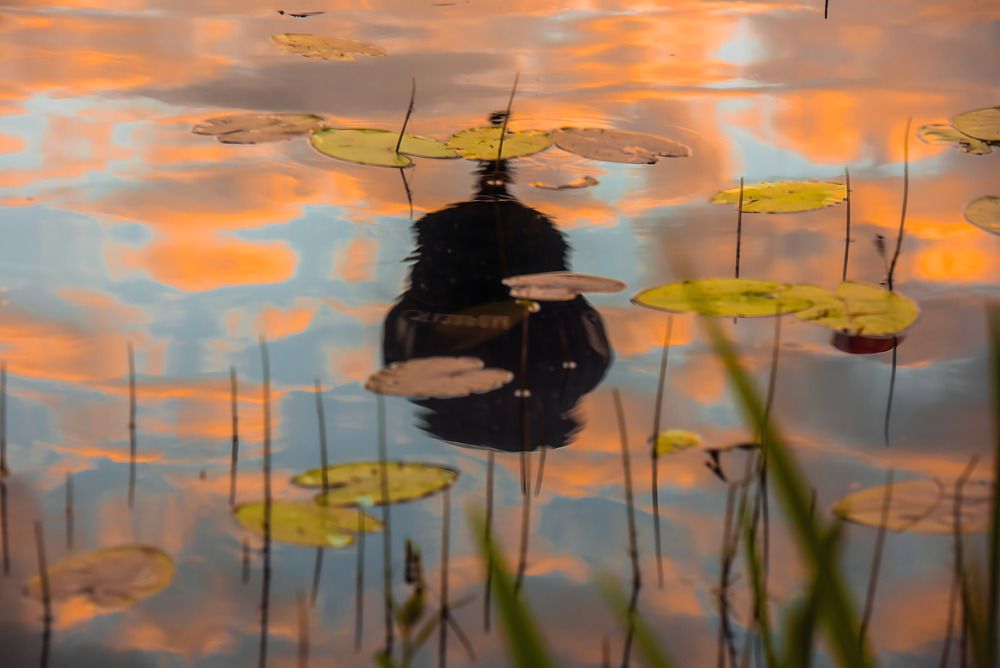 Photograph by Евгений Николаенков