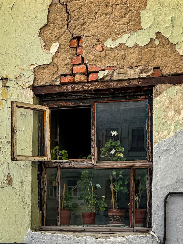 Photograph by Yan Chernushevich
