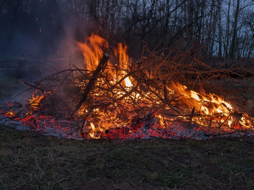 Photograph by Alexandr Gorelenkov
