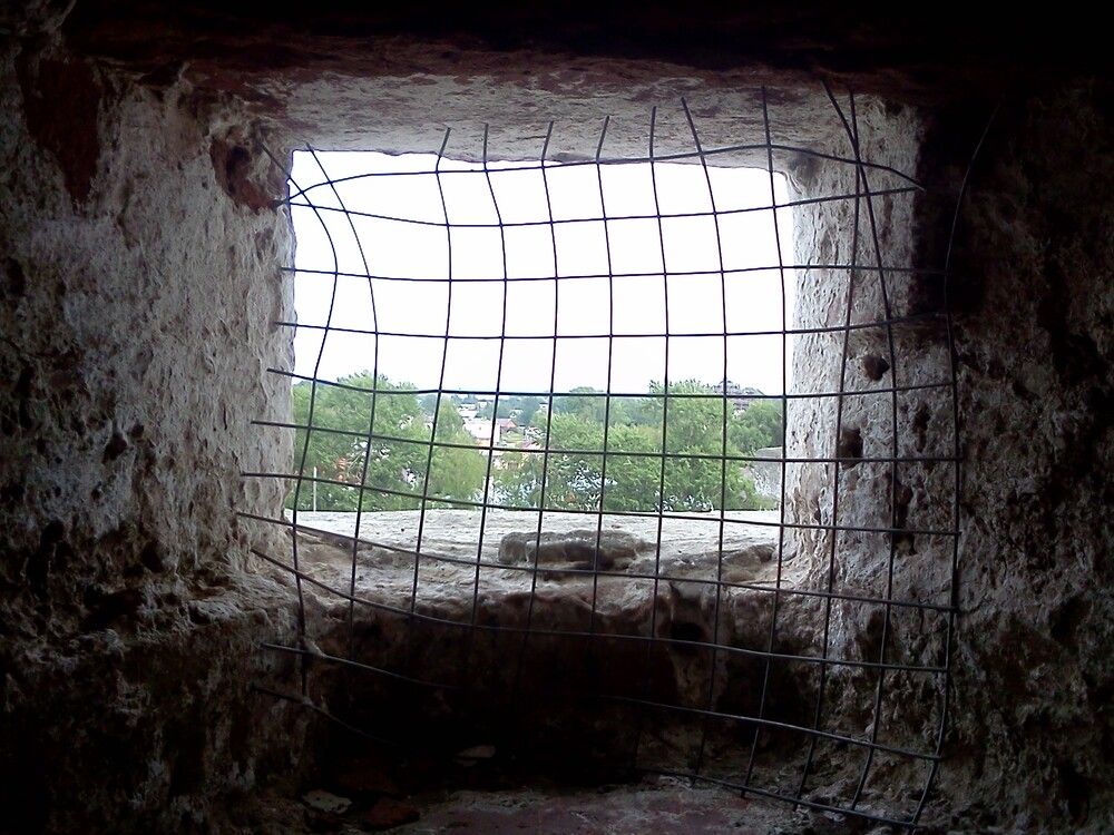 Photograph by карякина мария