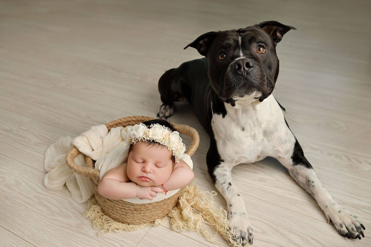 Photo #13549080