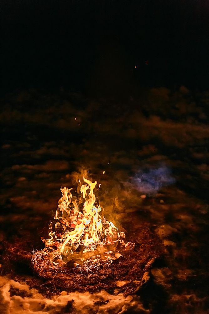 Photograph by Галина Шепелева