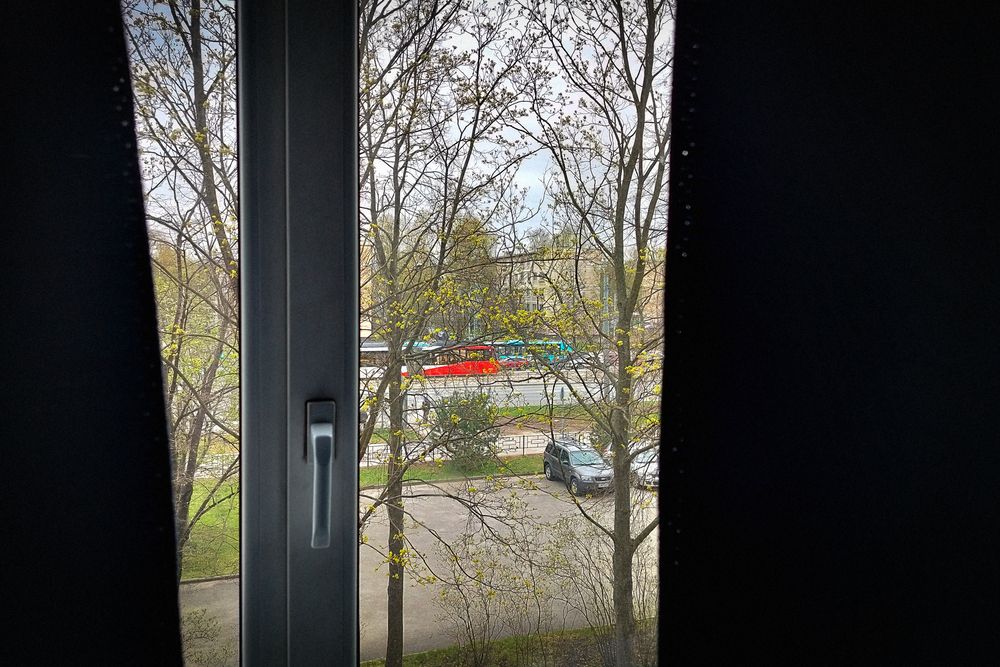 Photo #13549146