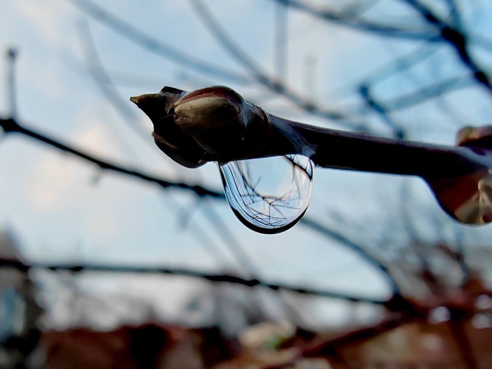 Photograph by Ольга Рыбина