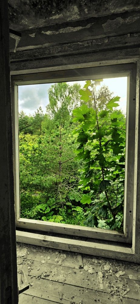 Photograph by Оксана Бессчетнова