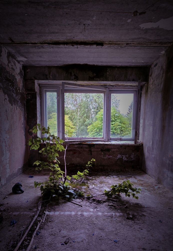 Photograph by Оксана Бессчетнова