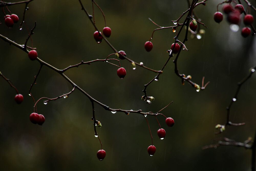 Photograph by Наталия Козлова