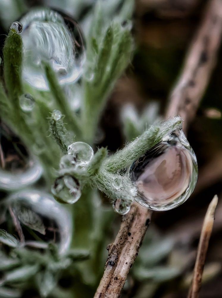 Photograph by Елена Артёменко