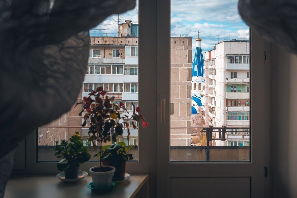- Пойдём, я тебе кое-что покажу.