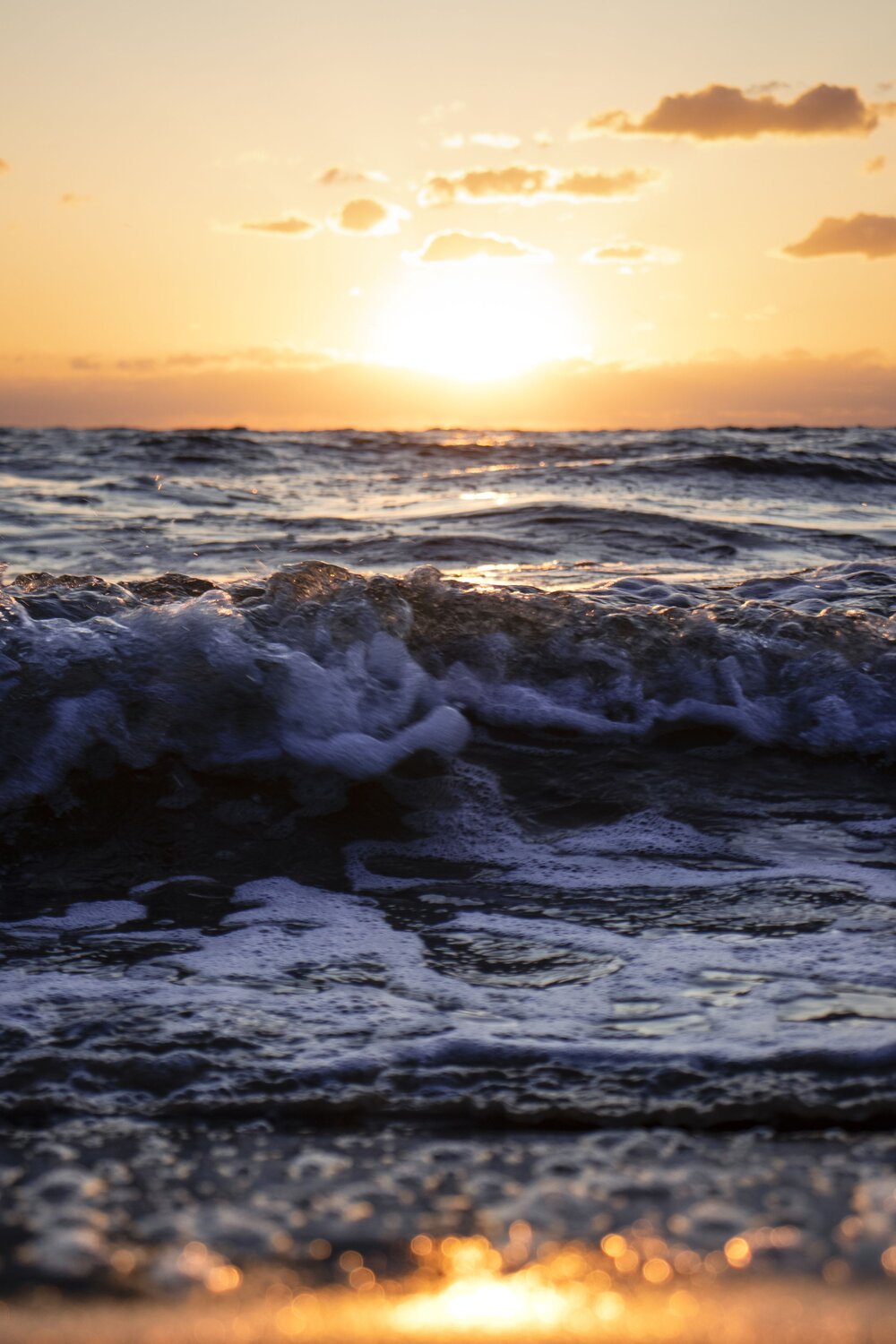 Photo #13549350