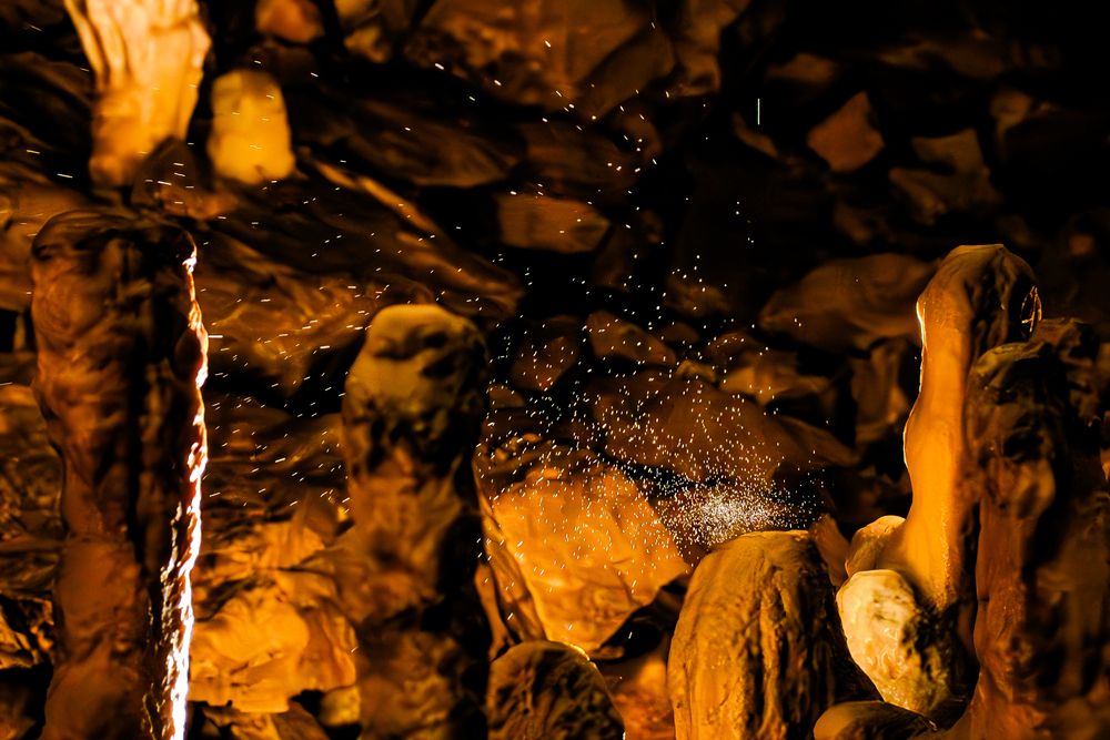 Splash