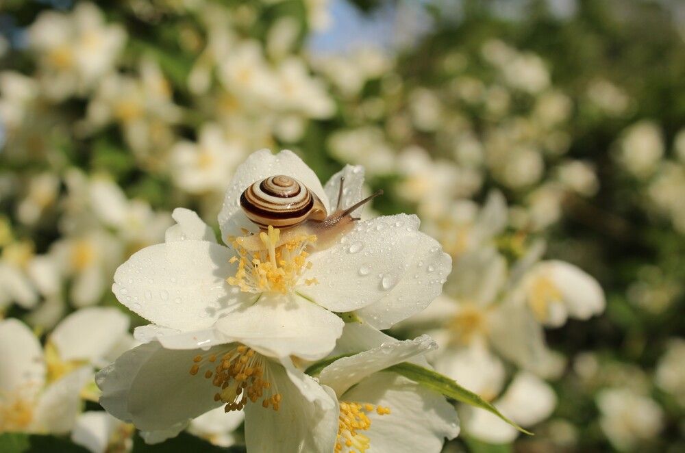 Photograph by Любовь Войводич