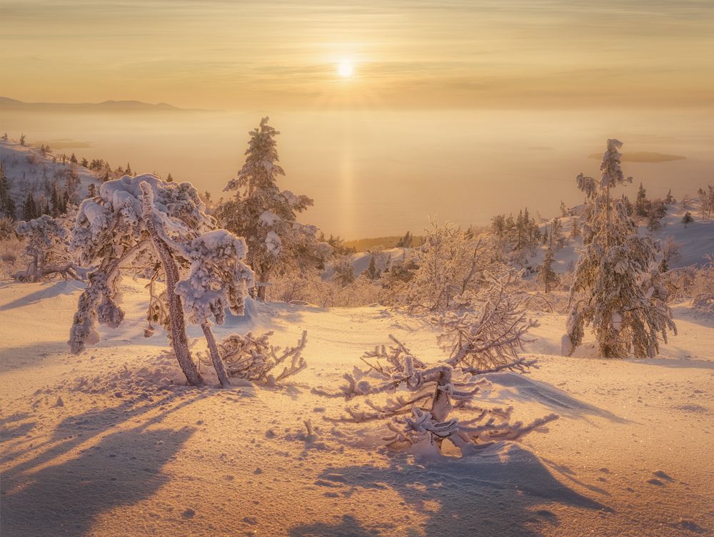 Photograph by Dmitry Medyancev