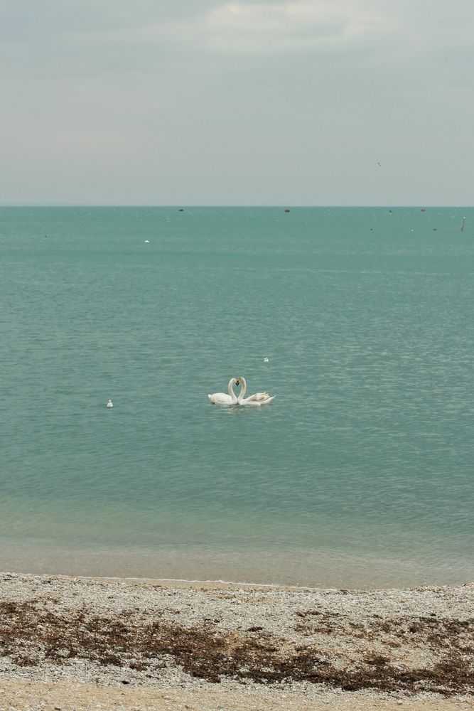 Photograph by Ирина Соколова