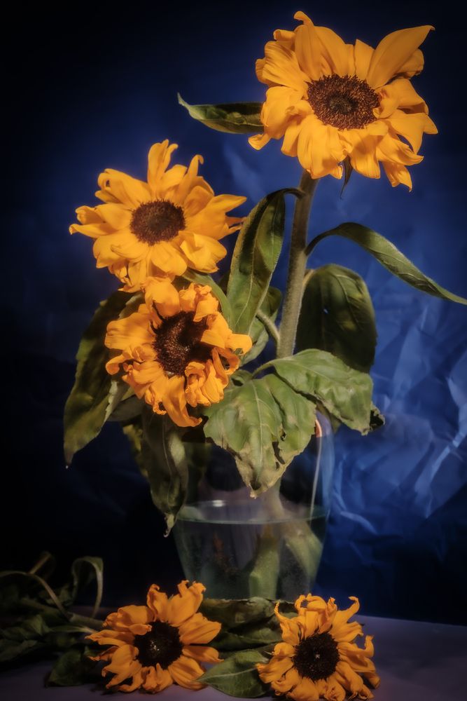 Photograph by Светлана Ощепкова