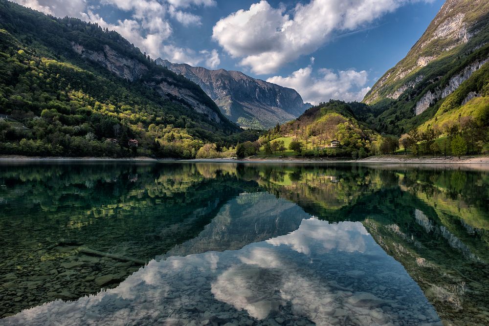 Nature in the mirror