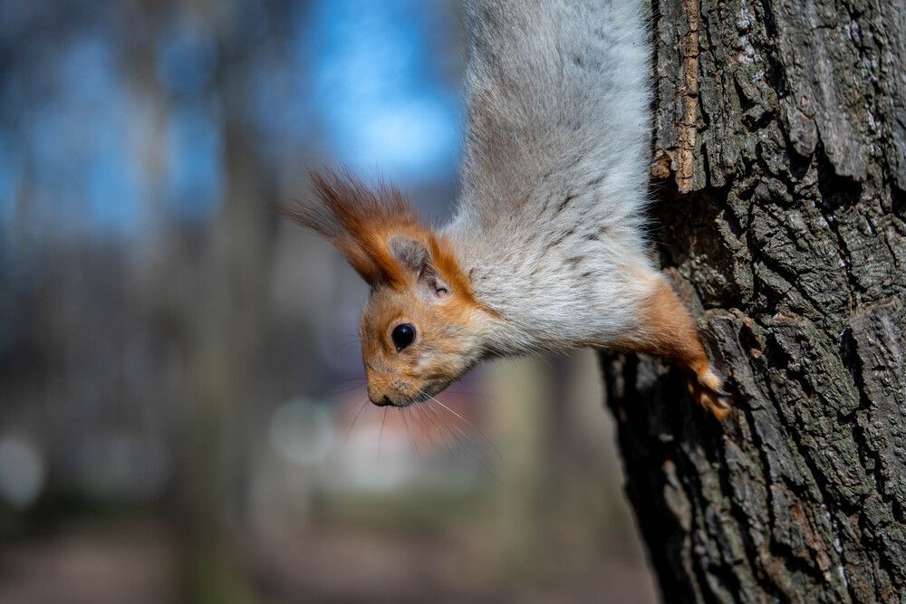 Photograph by Светлана Конькова