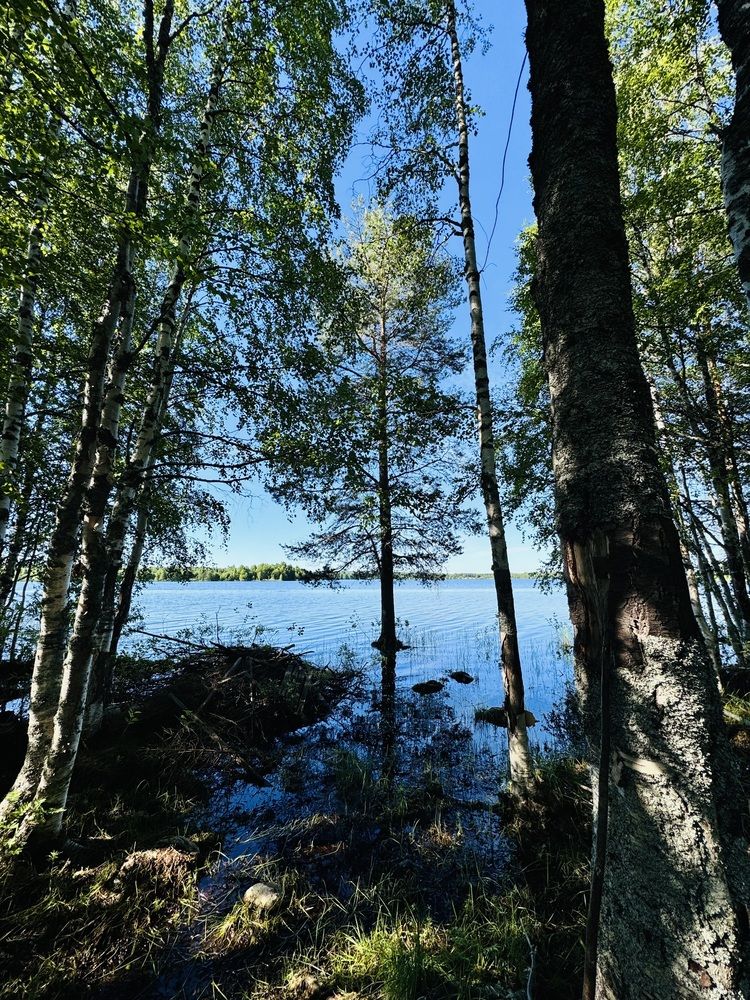 Фотография автора Анна Куревина