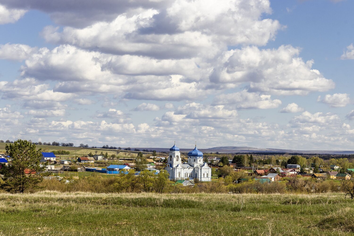 Photo #13549720