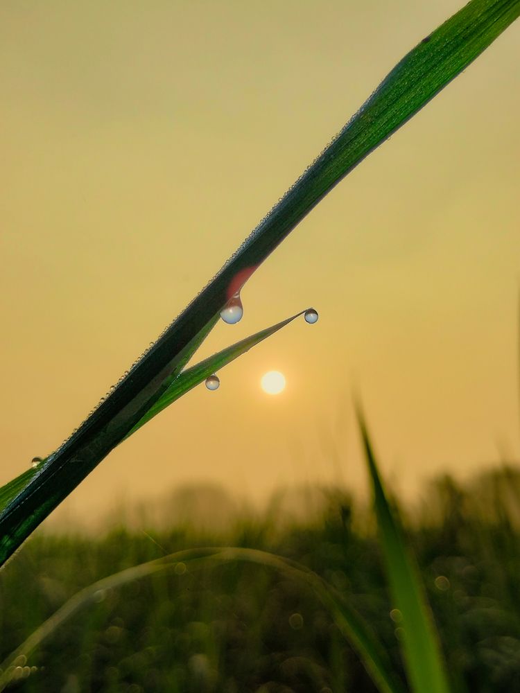 Photograph by Digonto Das