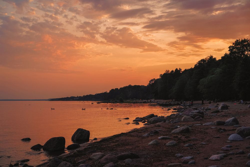 Photograph by Елена Суворова