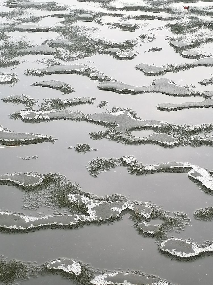 Photograph by Наталья Буталова