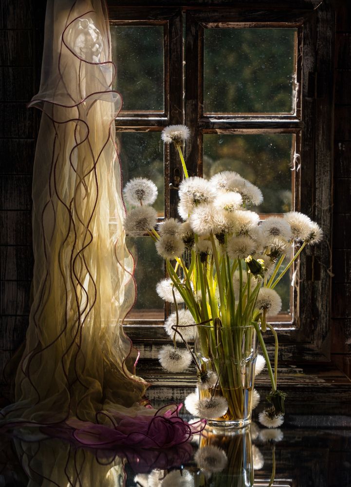 Photograph by Olga Schmidt