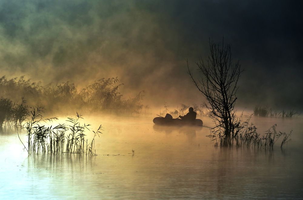 Misty morning on the lake
