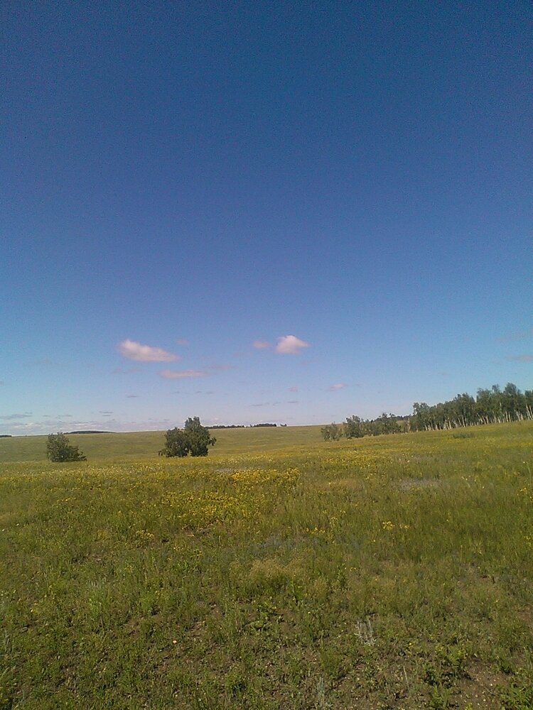 Siberia.field.clauds