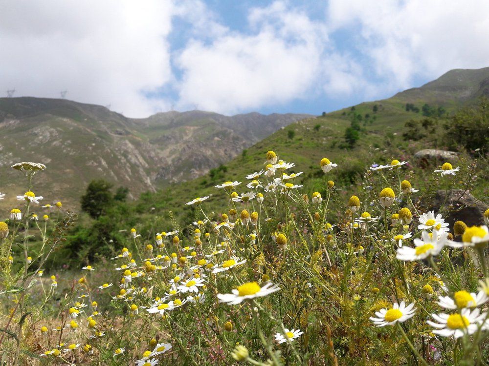 Neture