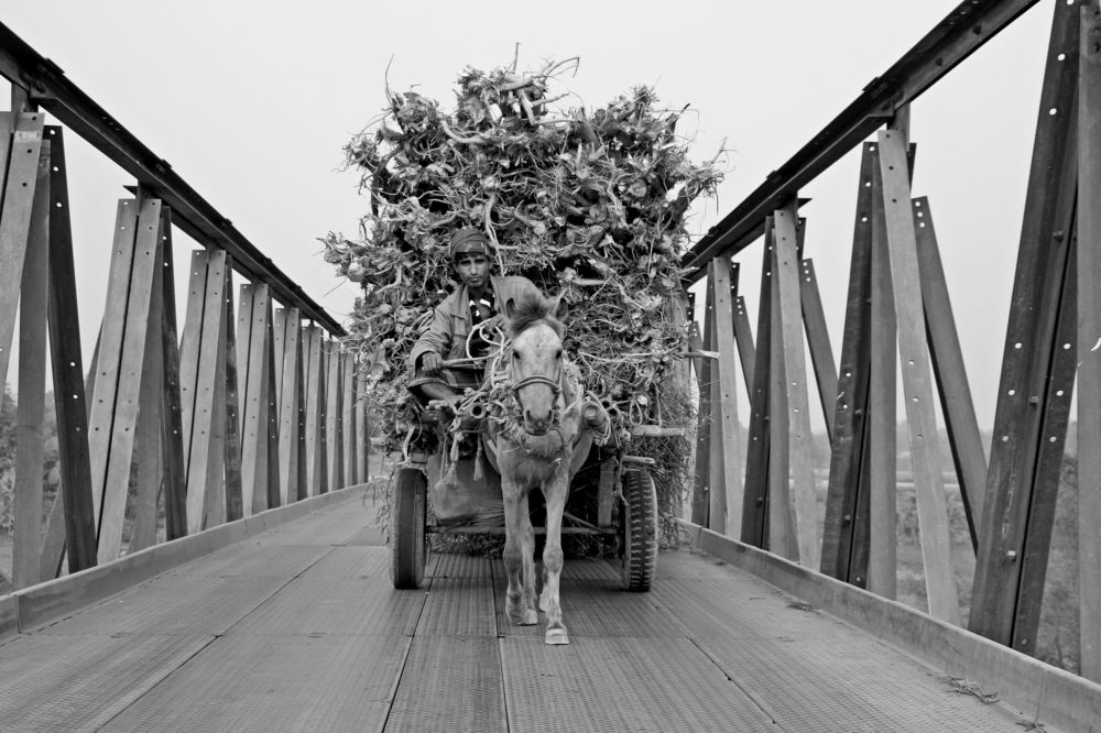 Different carrying Vehicle