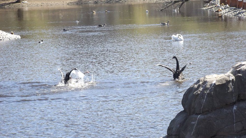 Photo #1358567