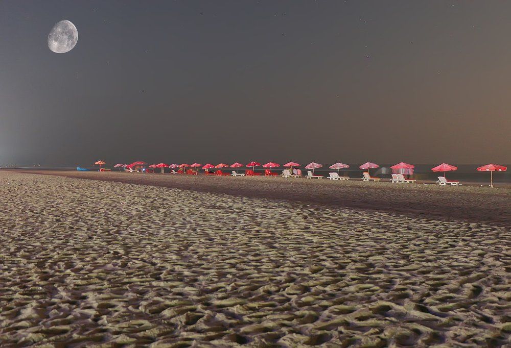 Midnight at Sea Beach