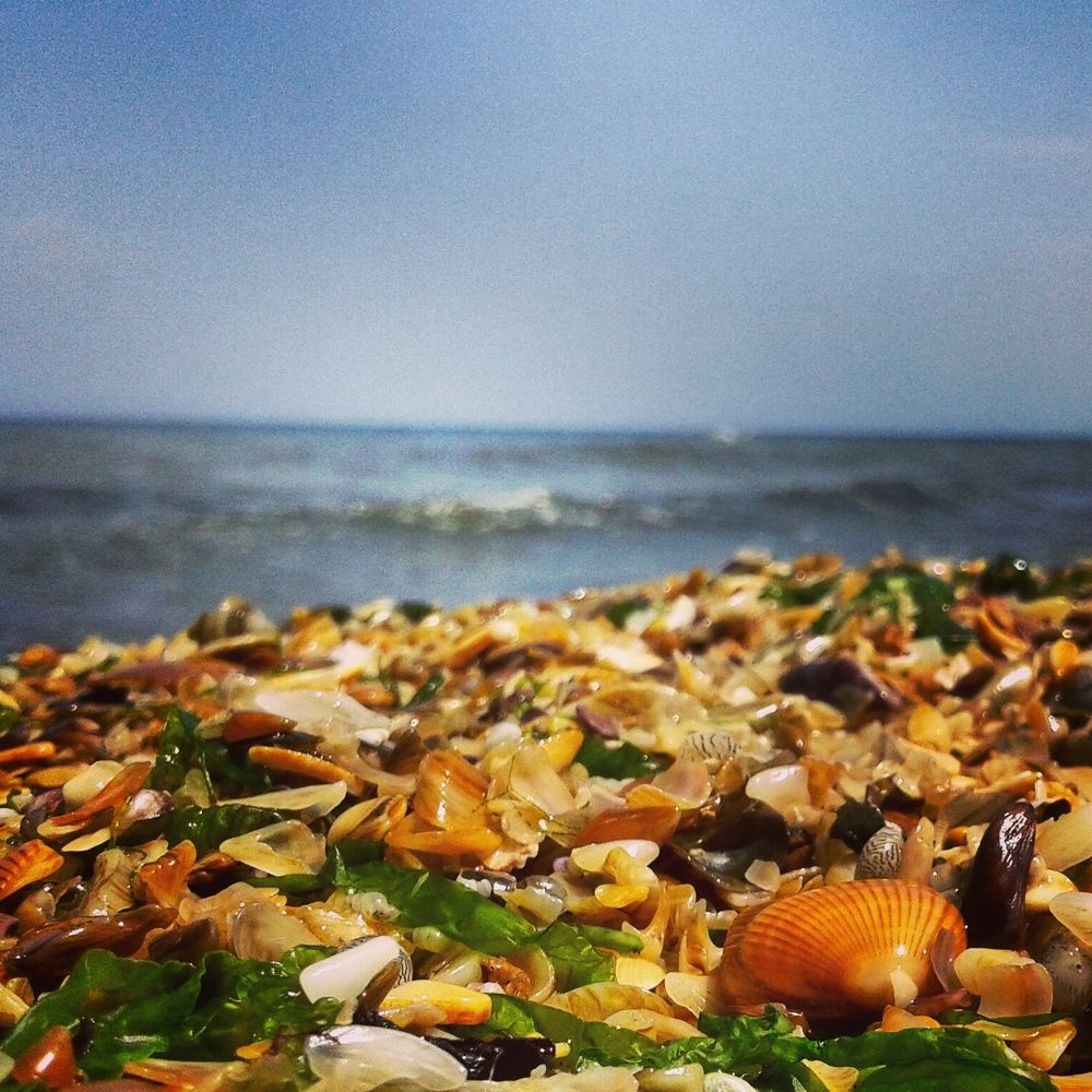 Берег Каспийского моря