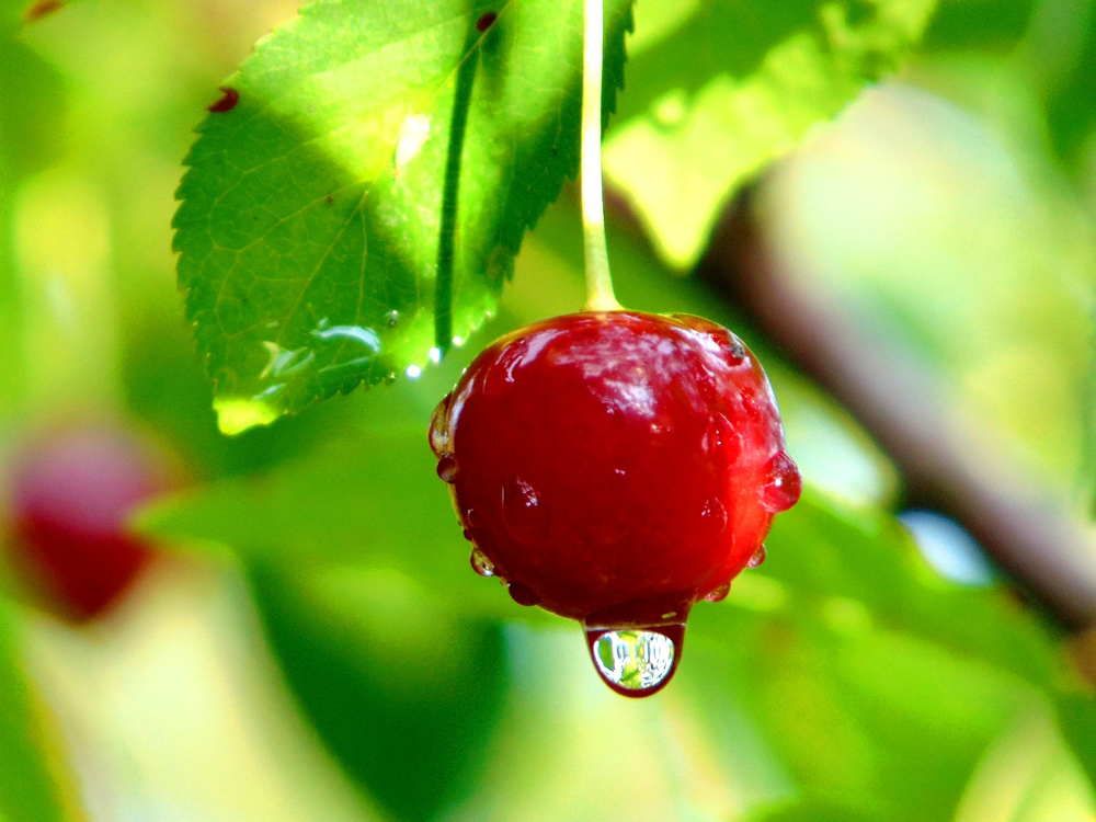 Photograph by Пихтерева Анна