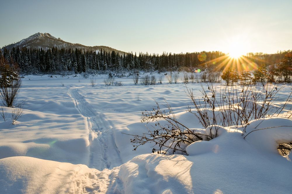 Как Салоп греется на солнышке