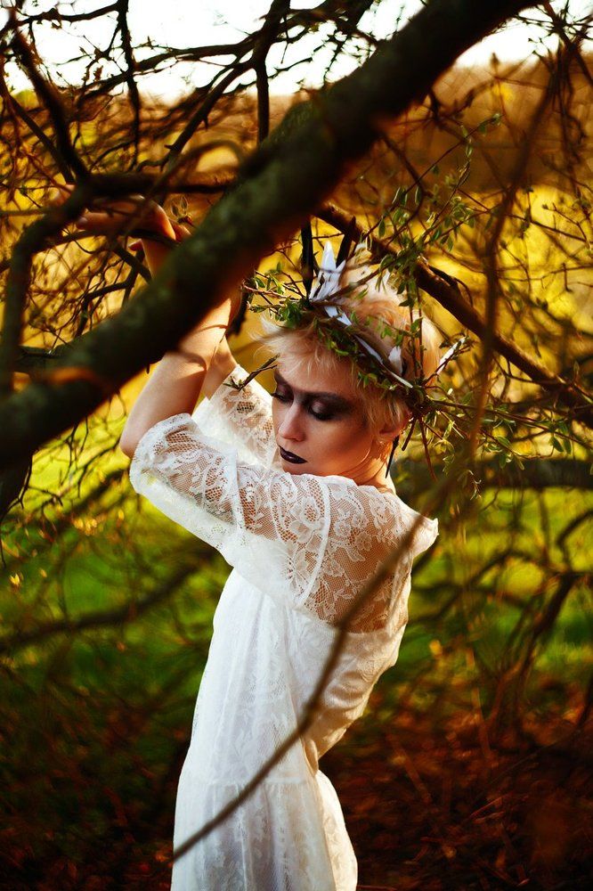 У леса своя душа