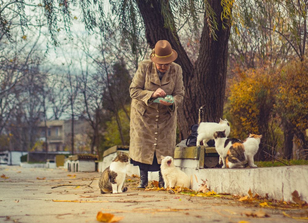 Доброта рядом ...