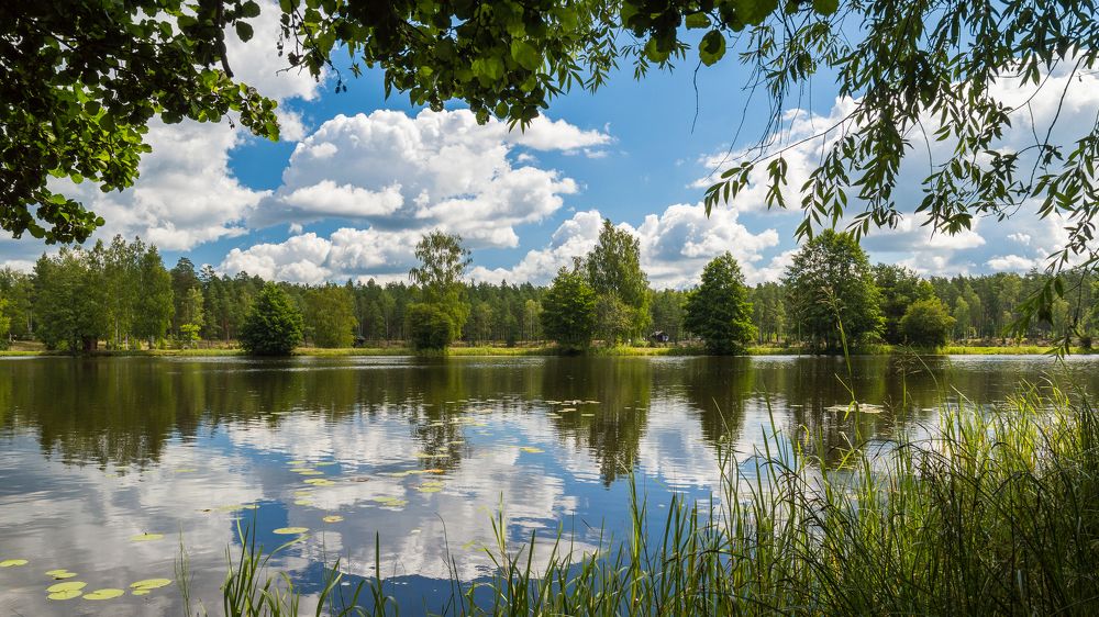 Полуденный пейзаж