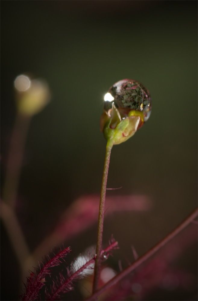 Photograph by Юрий Кольцов